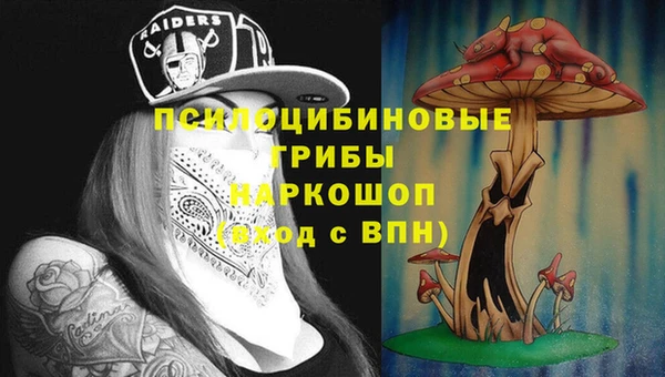 шишки Балабаново