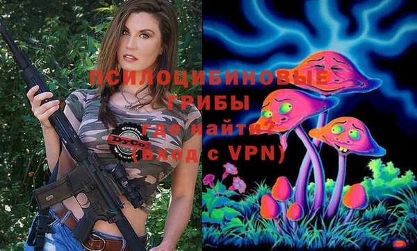 шишки Балабаново