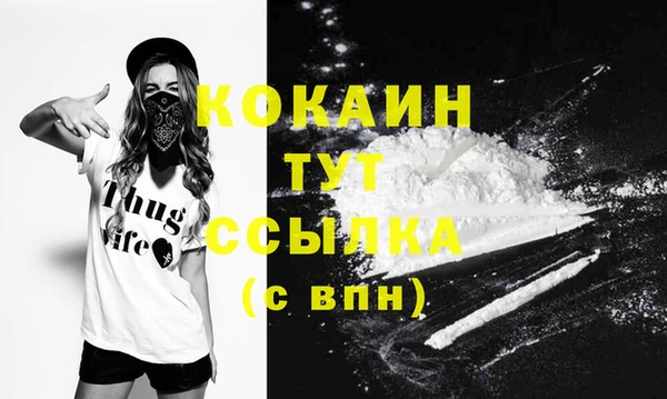шишки Балабаново