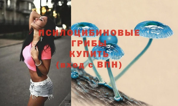 индика Балахна
