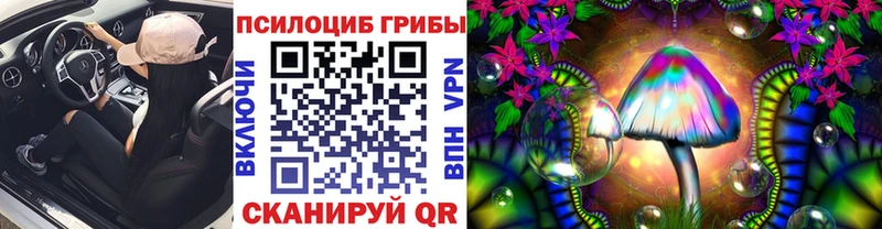 Галлюциногенные грибы GOLDEN TEACHER площадка официальный сайт Щёкино
